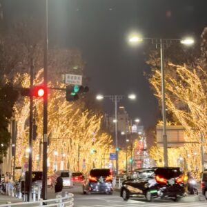 メリークリスマス🎄